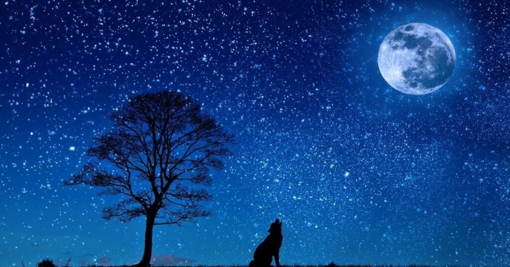 luna noua in capricorn